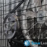 Airpress Kompresor dwutłokowy Black Pro NB5 11 bar 5.5 KM/4 kW 502 l/min 270 l pionowy, zdjęcie 6