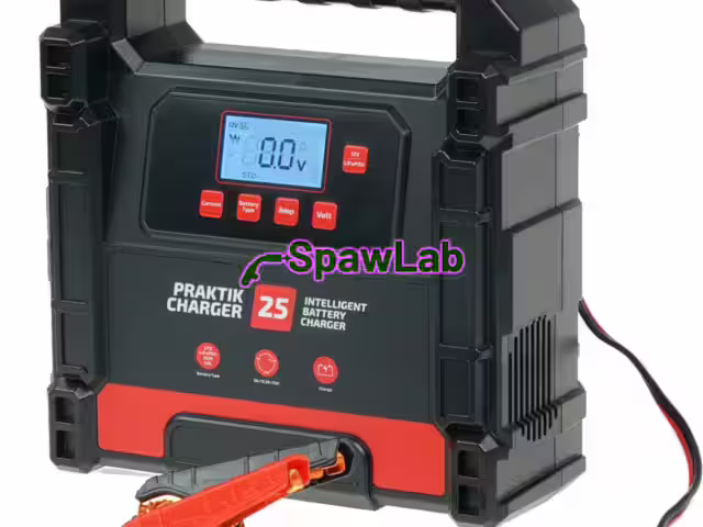 Ideal Praktik Charger 25 LCD 12/24V